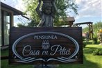 Casa cu Pitici