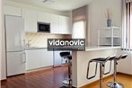 Lux Studio Apartment Vidanovic