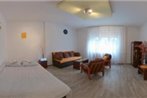 Nica Apartman Novi Sad