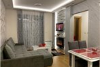 Lux Apartman SS Zlatibor vila Pekovic Green