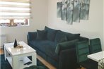 Pinevile apartman 4