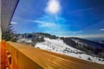 KOPAONIK -Beautiful view APARTMENT- Skiing