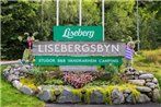 Lisebergsbyns B&B