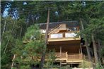 Shuswap Cabin