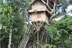 Tanna Lava View Bungalows