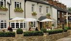 The Dog in Over Peover