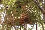 Treehuts