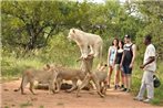 Ukutula Lion Lodge