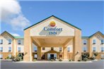 Comfort Inn Lexington South