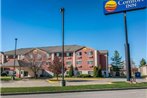 Comfort Inn Shelbyville North