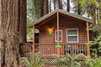 Emerald Forest Cabins