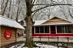 Beary Relaxing Cabin - Rustic with Outdoor Patio