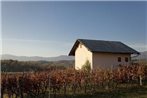 Vineyard cottage Kambic