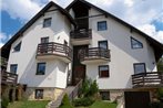 Apartment Harrachov 7