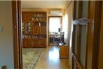 Apartament Adrian Faleza Nord