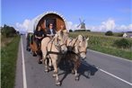 Samso Horse Wagons