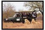 Elandela Private Game Reserve and Luxury Lodge