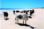 Wamakersvlei Beach Farm